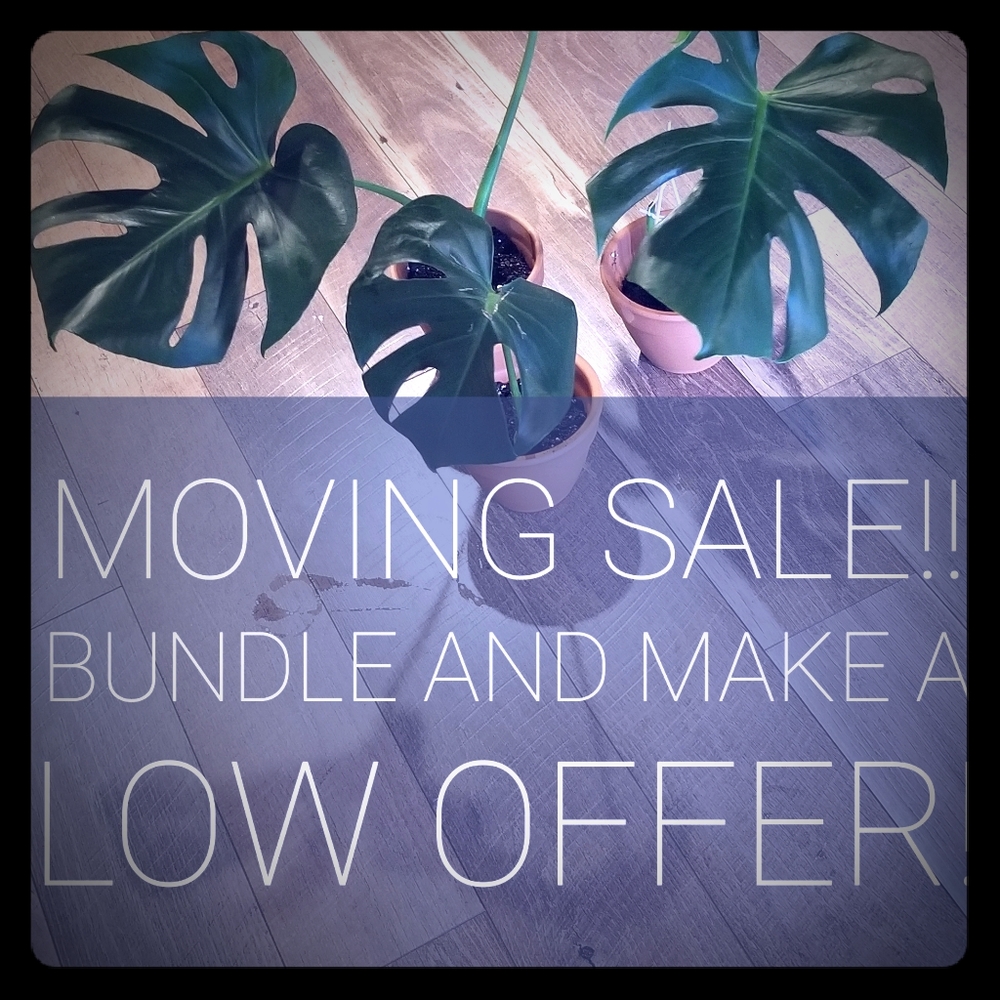SALE!!